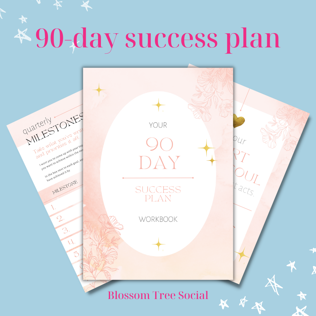 photo of 90 day success plane